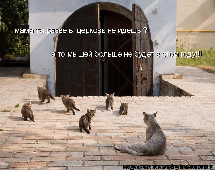 Котоматрица: мама ты разве в  церковь не идёшь ?  а то мышей больше не будет в этом году!!!