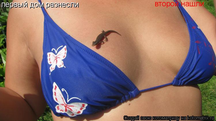 Котоматрица: первый дом разнесли второй нашли