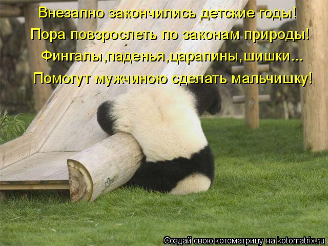 Внезапно закончились детские годы! Пора повзрослеть по законам природы! Фингалы,паденья,царапины,шишк... Котоматрица: Внезапно закончились детские годы! Пора повзрослеть по законам природы! Фингалы,паденья,царапины,шишки... Помогут мужчиною сделать мальчиш