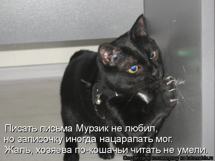 Писать письма Мурзик не любил, но записочку иногда нацарапать мог. Жаль, хозяева по-кошачьи читать н... Котоматрица: Писать письма Мурзик не любил, но записочку иногда нацарапать мог. Жаль, хозяева по-кошачьи читать не умели.