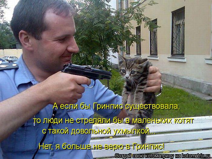 Котоматрица: А если бы Гринпис существовала, то люди не стреляли бы в маленьких котят с такой довольной ухмылкой... Нет, я больше не верю в Гринпис!