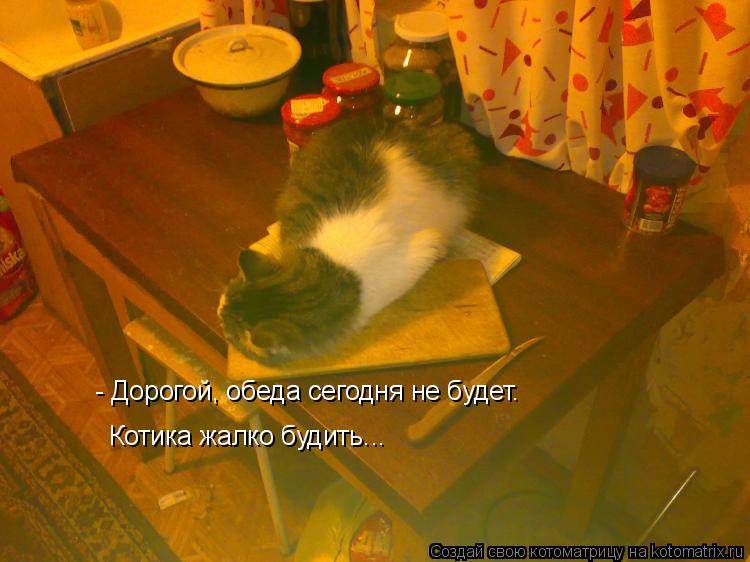 - Дорогой, обеда сегодня не будет. Котика жалко будить...... Котоматрица: - Дорогой, обеда сегодня не будет. Котика жалко будить...