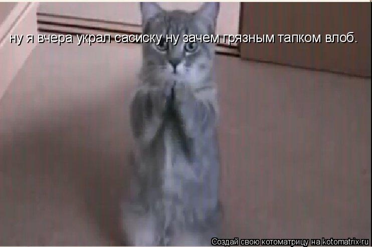 Котоматрица: ну я вчера украл сасиску ну зачем грязным тапком влоб.