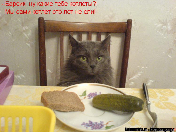 Котоматрица: - Барсик, ну какие тебе котлеты?! Мы сами котлет сто лет не ели!
