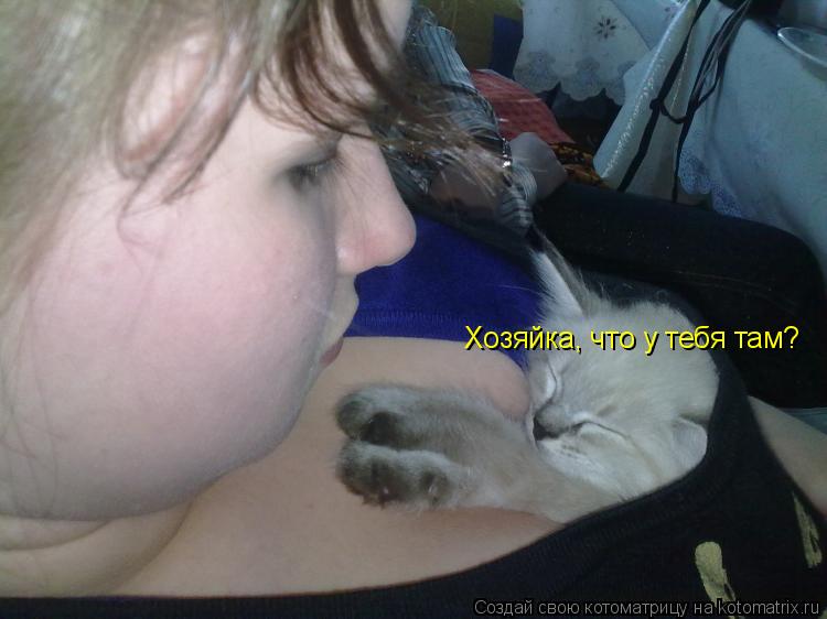 Котоматрица: Хозяйка, что у тебя там?