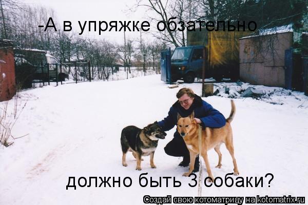 -А в упряжке обзательно должно быть 3 собаки?... Котоматрица: -А в упряжке обзательно должно быть 3 собаки?