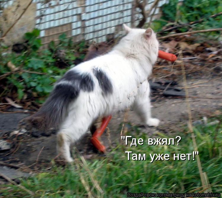 "Где вжял? Там уже нет!"... Котоматрица: "Где вжял? Там уже нет!"