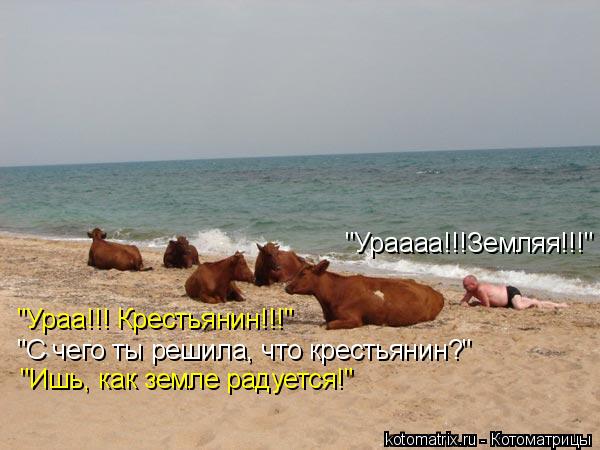 "Ураааа!!!Земляя!!!" "Ураа!!! Крестьянин!!!" "С чего ты решила, что крестьянин?" "Ишь, как земле раду... Котоматрица: "Ураааа!!!Земляя!!!" "Ураа!!! Крестьянин!!!" "С чего ты решила, что крестьянин?" "Ишь, как земле радуется!"