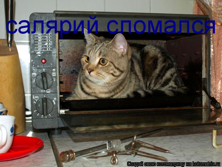 салярий сломался... Котоматрица: салярий сломался