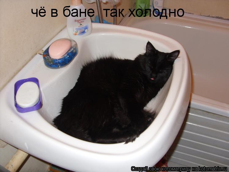 чё в бане так холодно... Котоматрица: чё в бане так холодно