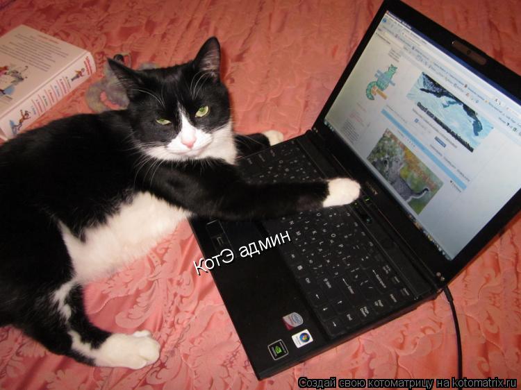 Котоматрица: КотЭ админ