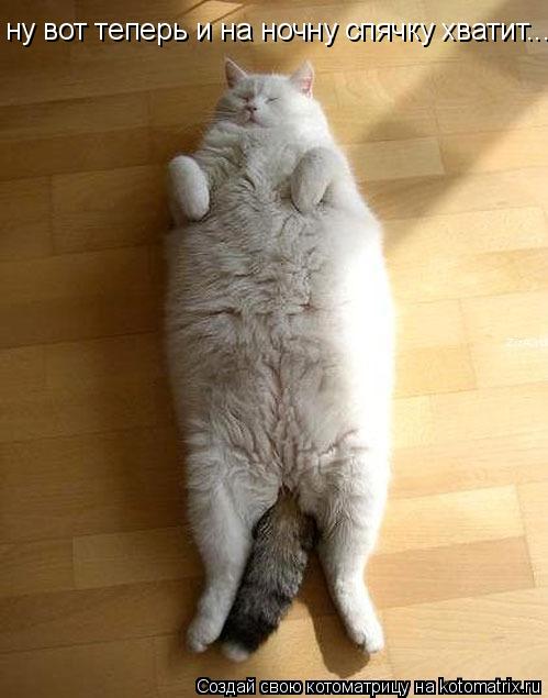 Котоматрица: ну вот теперь и на ночну спячку хватит...