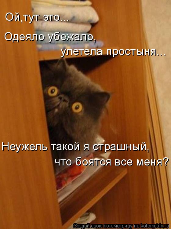 Котоматрица: Ой,тут это... Одеяло убежало, улетела простыня... Неужель такой я страшный, что боятся все меня?