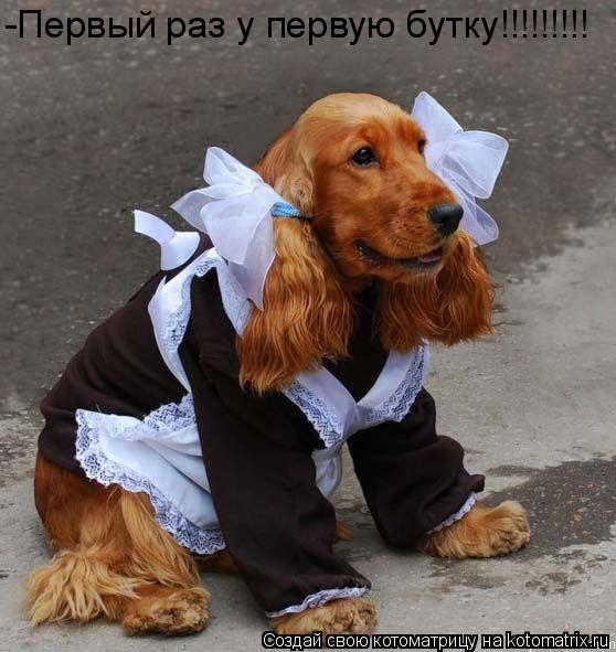 Котоматрица: -Первый раз у первую бутку!!!!!!!!!