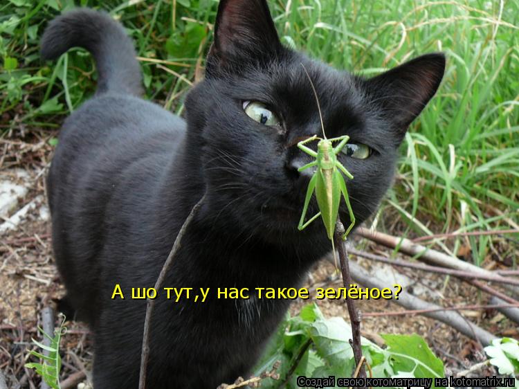 У меня одна фигня стих У меня одна фигня стих