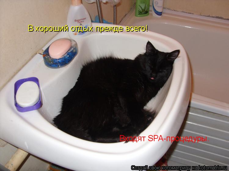 В хороший отдых прежде всего! Входят SPA-процедуры.... Котоматрица: В хороший отдых прежде всего! Входят SPA-процедуры.