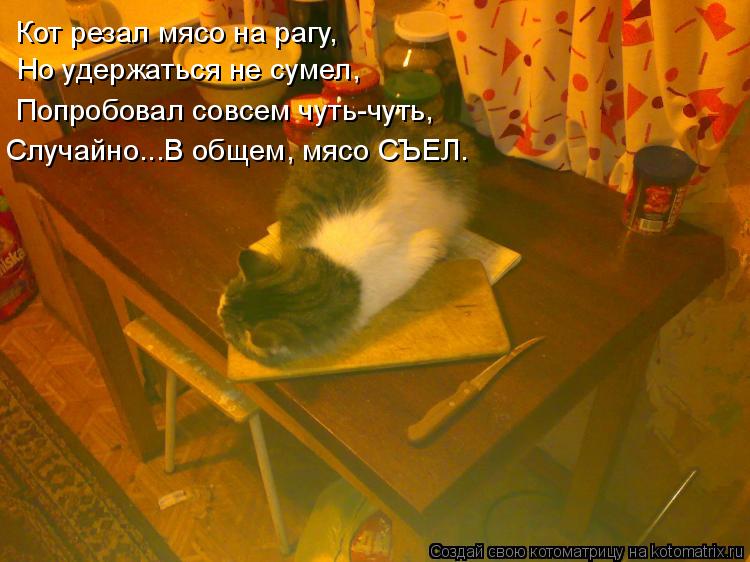 Кот резал мясо на рагу, Но удержаться не сумел, Попробовал совсем чуть-чуть, Случайно...В общем, мясо... Котоматрица: Кот резал мясо на рагу, Но удержаться не сумел, Попробовал совсем чуть-чуть, Случайно...В общем, мясо СЪЕЛ.