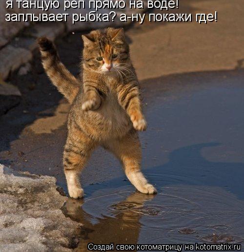 я танцую реп прямо на воде! заплывает рыбка? а-ну покажи где!... Котоматрица: я танцую реп прямо на воде! заплывает рыбка? а-ну покажи где!