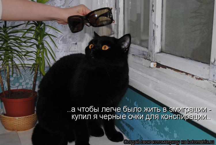 ..а чтобы легче было жить в эмиграции - купил я черные очки для конспирации..... Котоматрица: ..а чтобы легче было жить в эмиграции - купил я черные очки для конспирации..