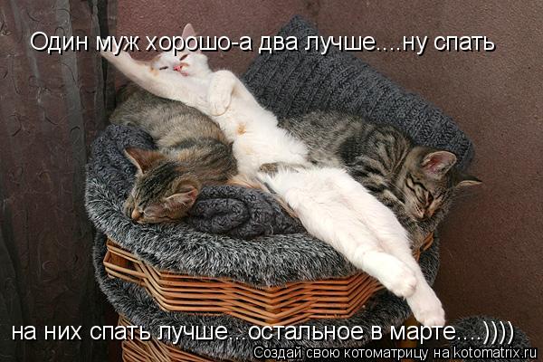 Один муж хорошо-а два лучше....ну спать на них спать лучше...остальное в марте....))))... Котоматрица: Один муж хорошо-а два лучше....ну спать на них спать лучше...остальное в марте....))))