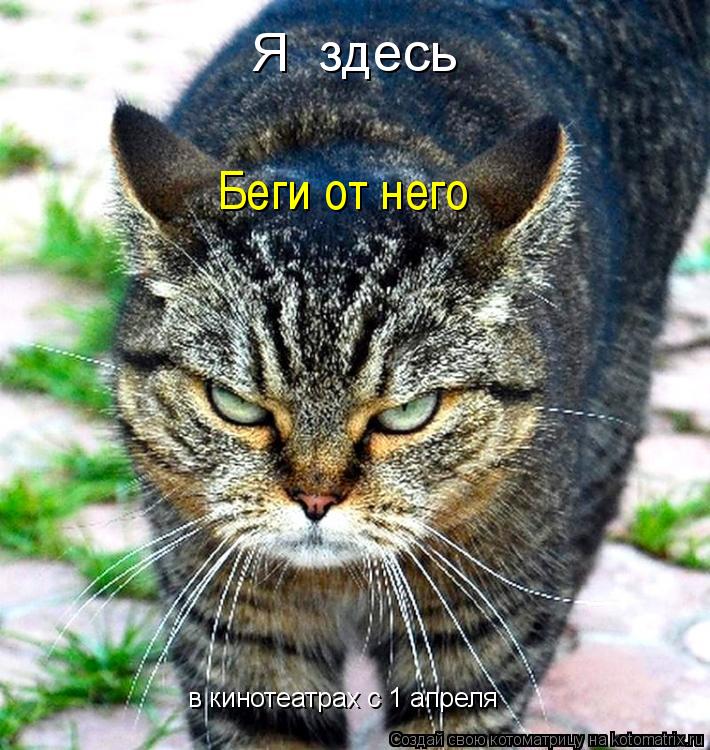 Я здесь Беги от него в кинотеатрах с 1 апреля... Котоматрица: Я здесь Беги от него в кинотеатрах с 1 апреля
