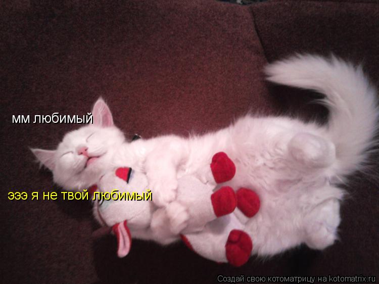 мм любимый эээ я не твой любимый... Котоматрица: мм любимый эээ я не твой любимый