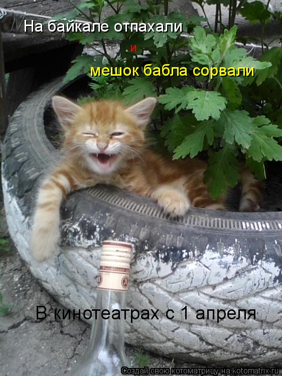 На байкале отпахали мешок бабла сорвали и В кинотеатрах с 1 апреля... Котоматрица: На байкале отпахали мешок бабла сорвали и В кинотеатрах с 1 апреля