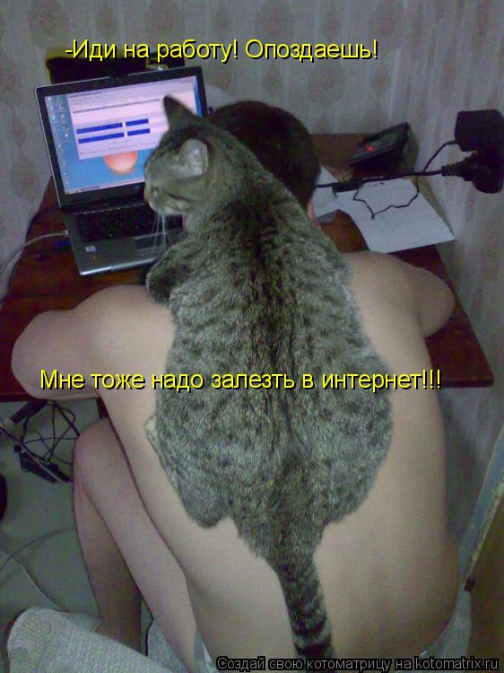 -Иди на работу! Опоздаешь! Мне тоже надо залезть в интернет!!!... Котоматрица: -Иди на работу! Опоздаешь! Мне тоже надо залезть в интернет!!!