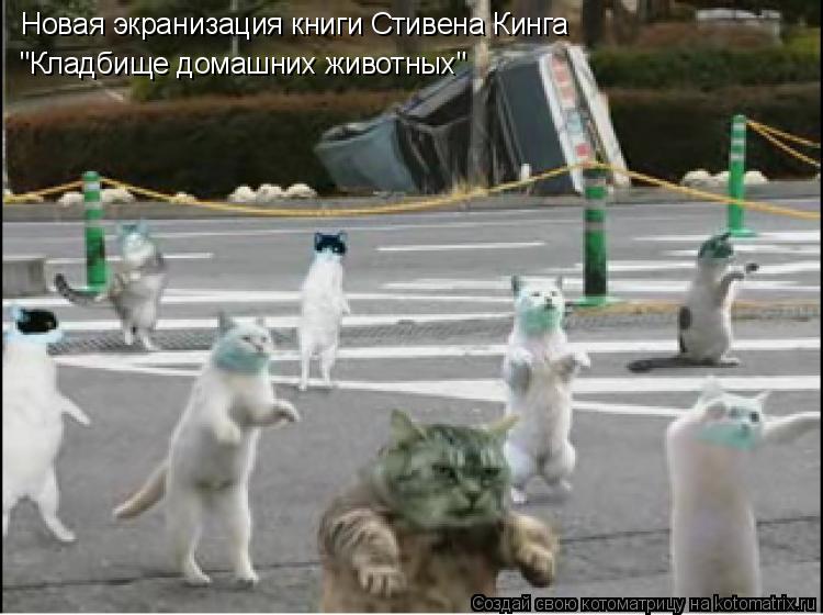 Новая экранизация книги Стивена Кинга "Кладбище домашних животных"... Котоматрица: Новая экранизация книги Стивена Кинга "Кладбище домашних животных"