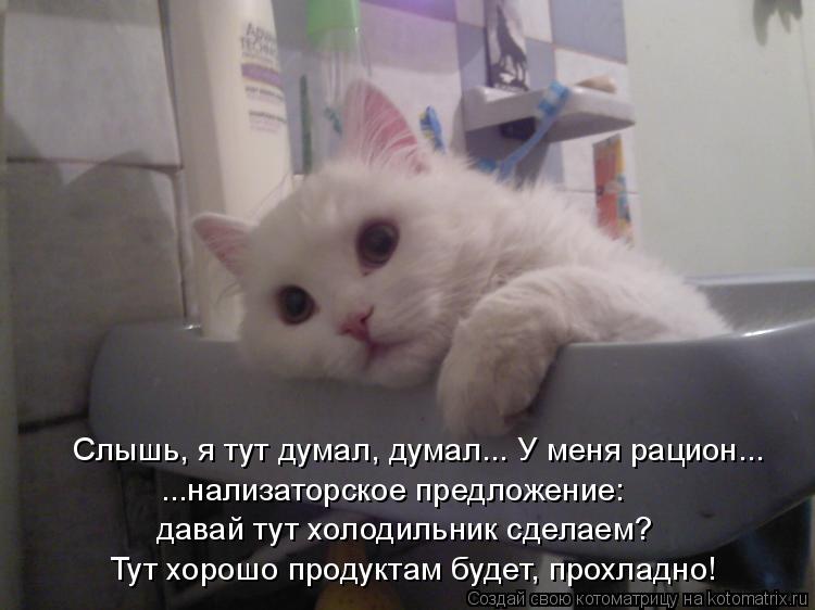 Котоматрица: давай тут холодильник сделаем? Тут хорошо продуктам будет, прохладно! ...нализаторское предложение: Слышь, я тут думал, думал... У меня рацион.