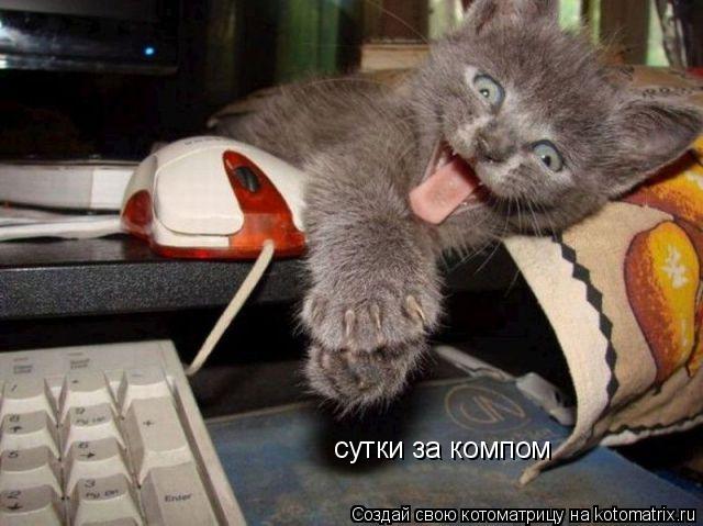 сутки за компом... Котоматрица: сутки за компом
