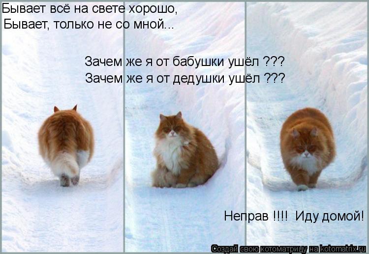 Бывает всё на свете хорошо, Бывает, только не со мной... Зачем же я от бабушки ушёл ??? Зачем же я о... Котоматрица: Бывает всё на свете хорошо, Бывает, только не со мной... Зачем же я от бабушки ушёл ??? Зачем же я от дедушки ушёл ??? Неправ !!!! Иду домой!