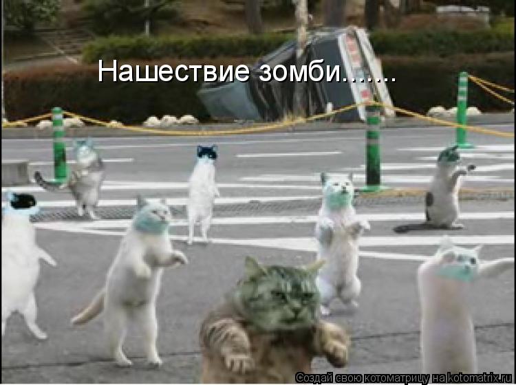 Нашествие зомби.......... Котоматрица: Нашествие зомби.......