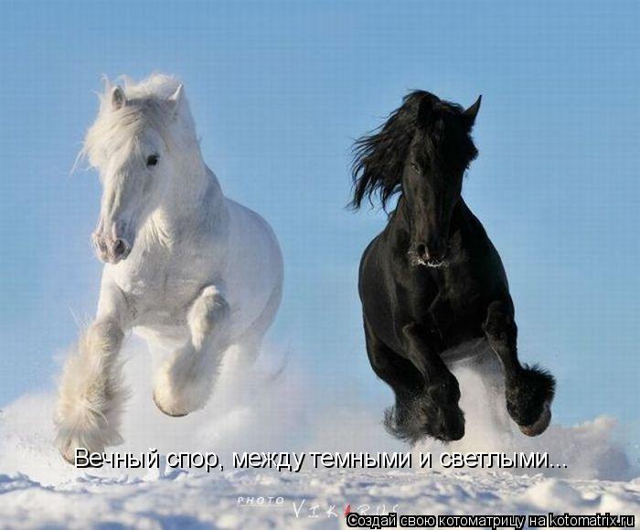 Котоматрица: Вечный спор, между темными и светлыми...