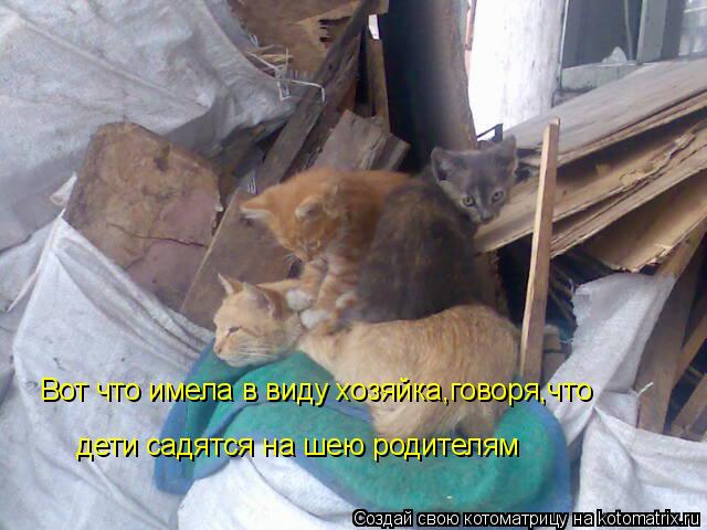 Котоматрица: Вот что имела в виду хозяйка,говоря,что   дети садятся на шею родителям
