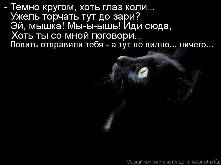 - Темно кругом, хоть глаз коли... Ужель торчать тут до зари? Эй, мышка! Мы-ы-ышь! Иди сюда, Хоть ты с... Котоматрица: - Темно кругом, хоть глаз коли... Ужель торчать тут до зари? Эй, мышка! Мы-ы-ышь! Иди сюда, Хоть ты со мной поговори... Ловить отправили тебя - а ту
