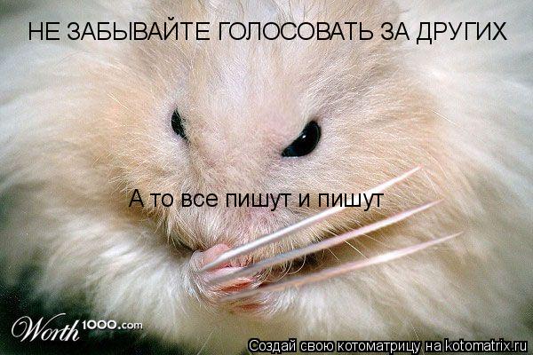 НЕ ЗАБЫВАЙТЕ ГОЛОСОВАТЬ ЗА ДРУГИХ А то все пишут и пишут... Котоматрица: НЕ ЗАБЫВАЙТЕ ГОЛОСОВАТЬ ЗА ДРУГИХ А то все пишут и пишут