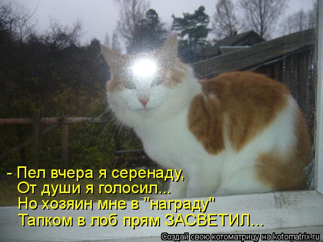 - Пел вчера я серенаду, От души я голосил... Но хозяин мне в "награду" Тапком в лоб прям ЗАСВЕТИЛ...... Котоматрица: - Пел вчера я серенаду, От души я голосил... Но хозяин мне в "награду" Тапком в лоб прям ЗАСВЕТИЛ...