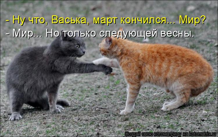 - Ну что, Васька, март кончился... Мир? - Мир... Но только следующей весны.... Котоматрица: - Ну что, Васька, март кончился... Мир? - Мир... Но только следующей весны.