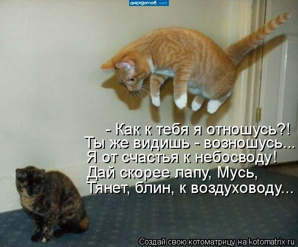 - Как к тебя я отношусь?! Ты же видишь - возношусь... Я от счастья к небосводу! Дай скорее лапу, Мусь... Котоматрица: - Как к тебя я отношусь?! Ты же видишь - возношусь... Я от счастья к небосводу! Дай скорее лапу, Мусь, Тянет, блин, к воздуховоду...