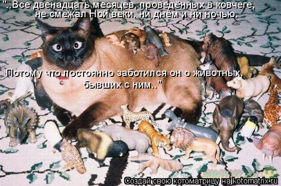 "..Все двенадцать месяцев, проведённых в ковчеге, не смежал Ной веки, ни днём и ни ночью. Потому чт... Котоматрица: "..Все двенадцать месяцев, проведённых в ковчеге, не смежал Ной веки, ни днём и ни ночью. Потому что постоянно заботился он о животных, бывши
