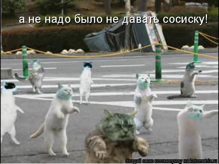 а не надо было не давать сосиску!... Котоматрица: а не надо было не давать сосиску!