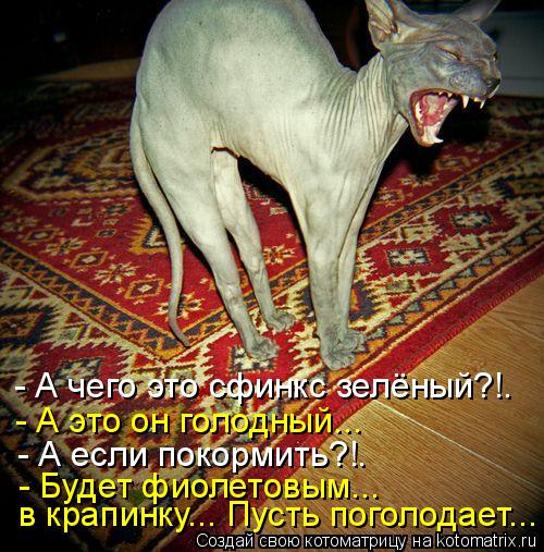 - А чего это сфинкс зелёный?!. - А это он голодный... - А если покормить?!. - Будет фиолетовым... в ... Котоматрица: - А чего это сфинкс зелёный?!. - А это он голодный... - А если покормить?!. - Будет фиолетовым... в крапинку... Пусть поголодает...
