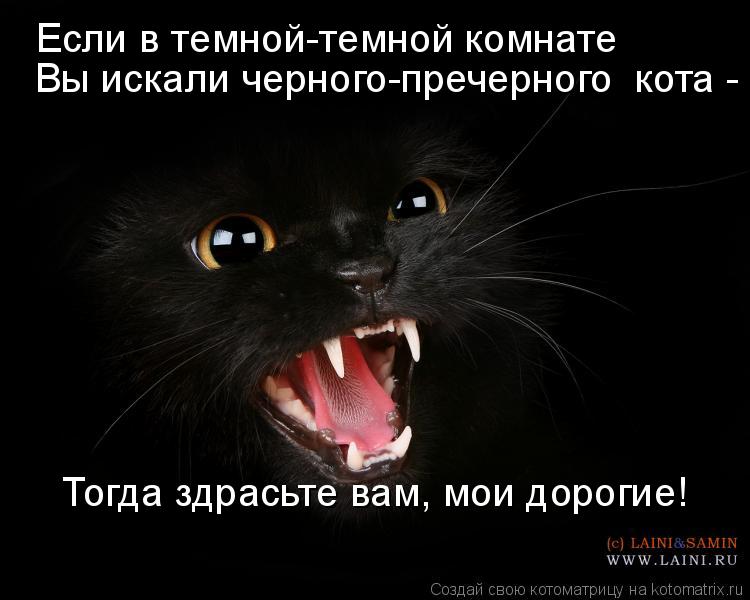Тогда здрасьте вам, мои дорогие! Если в темной-темной комнате Вы искали черного-пречерного кота -... Котоматрица: Тогда здрасьте вам, мои дорогие! Если в темной-темной комнате Вы искали черного-пречерного кота -