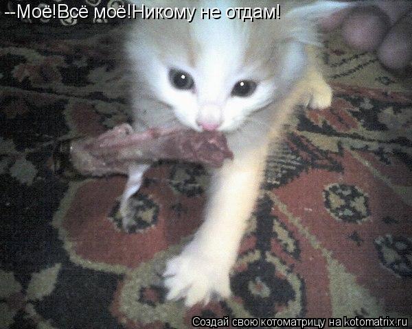 --Моё!Всё моё!Никому не отдам!... Котоматрица: --Моё!Всё моё!Никому не отдам!