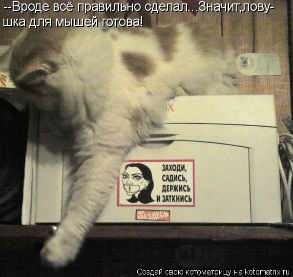 --Вроде всё правильно сделал...Значит,лову- шка для мышей готова!... Котоматрица: --Вроде всё правильно сделал...Значит,лову- шка для мышей готова!