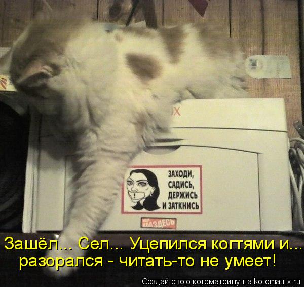 Зашёл... Сел... Уцепился когтями и... разорался - читать-то не умеет!... Котоматрица: Зашёл... Сел... Уцепился когтями и... разорался - читать-то не умеет!