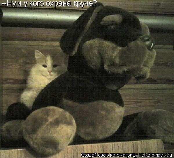 --Ну,и у кого охрана круче?... Котоматрица: --Ну,и у кого охрана круче?