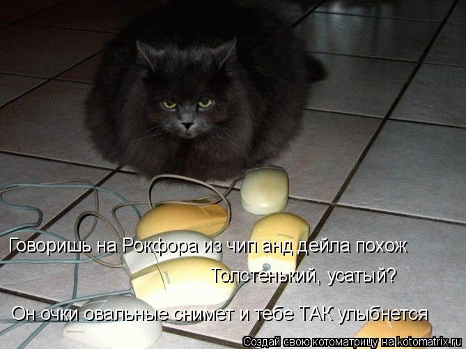 Говоришь на Рокфора из чип анд дейла похож Толстенький, усатый? Он очки овальные снимет и тебе ТАК ул... Котоматрица: Говоришь на Рокфора из чип анд дейла похож Толстенький, усатый? Он очки овальные снимет и тебе ТАК улыбнется