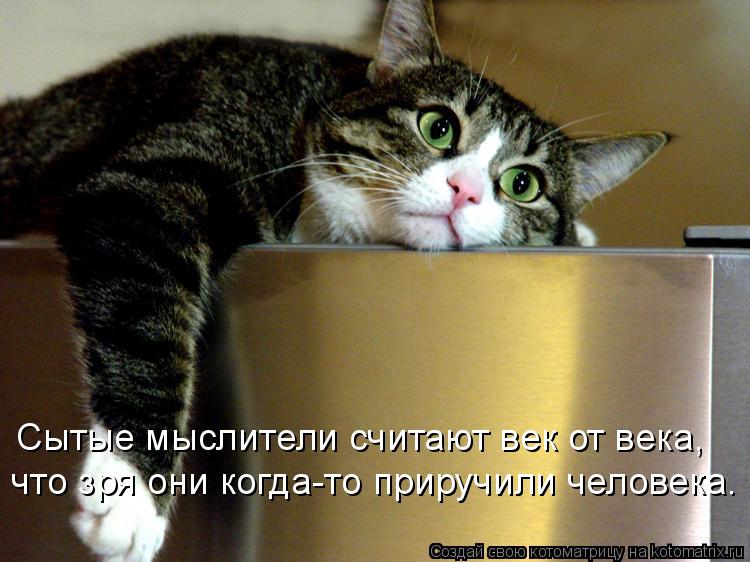 Котоматрица: Сытые мыслители считают век от века, что зря они когда-то приручили человека.